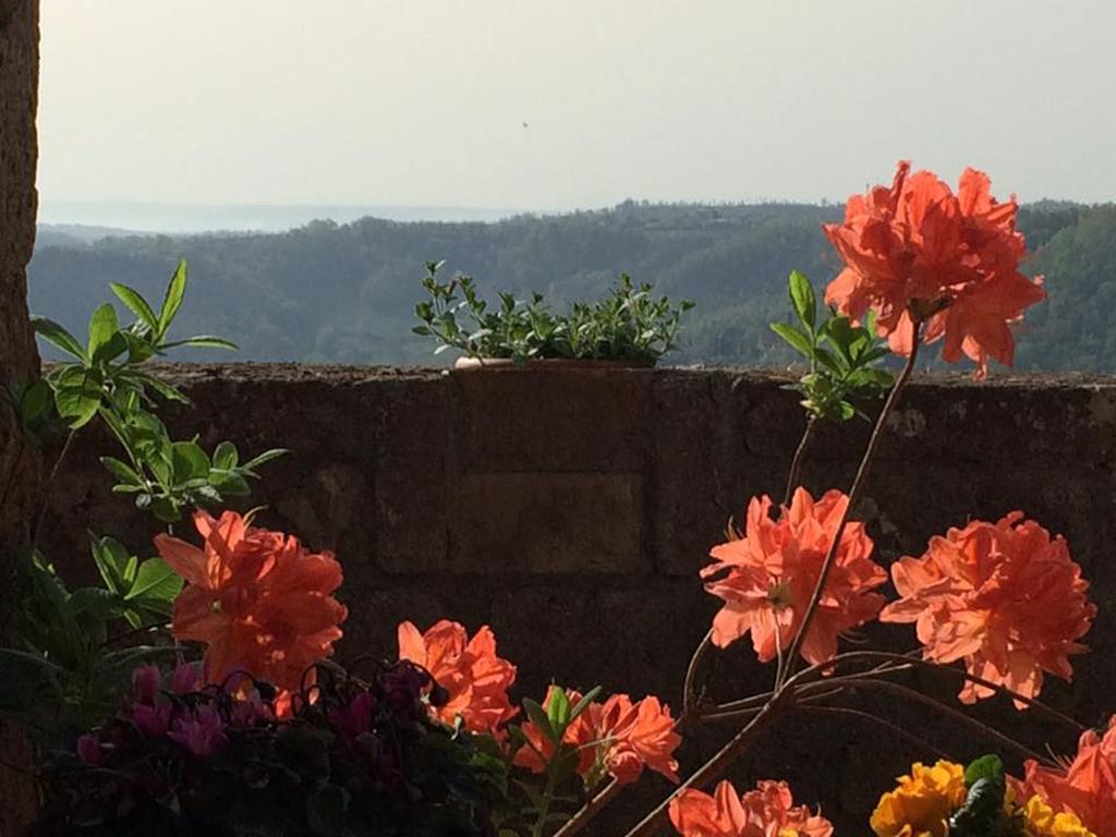 L'Incanto Di Civita باغنوريغيو المظهر الخارجي الصورة